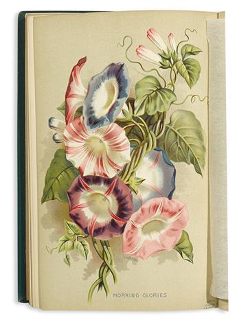 (BOTANICAL.) Vick, James. Vicks Monthly Magazine. [1878-91].